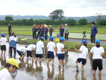 学習田での小学生の田植え体験